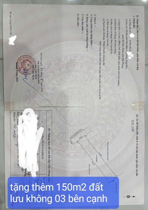 An cư lạc nghiệp tại Đồ Sơn - Nhà vườn mơ ước, đường rộng thênh thang