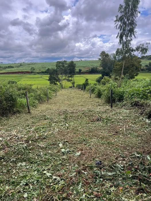 Bán đất mặt tiền đường Đặng Thùy Trâm, phường Pleiku