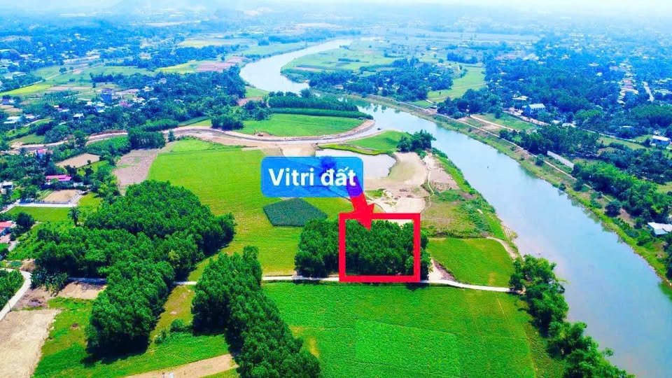 Bán đất trồng cây Hòa Nhơn, diện tích 1500m2, mặt tiền 40m