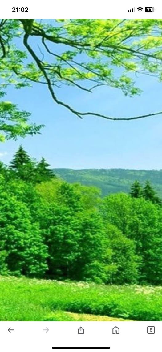 Đất hẻm Hùng Vương - Giá siêu mềm, chốt đơn lẹ làng