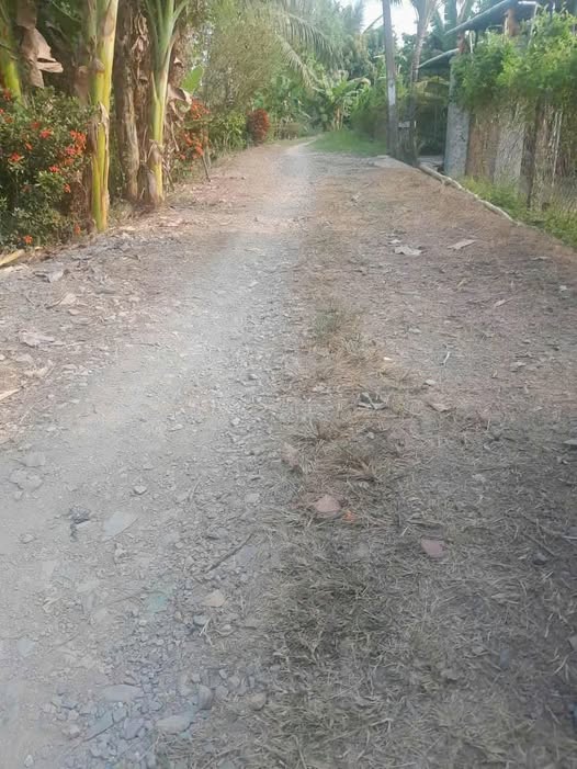 Đất nền Lai Vung, Đồng Tháp - Gần chợ, trường học, y tế, giá chỉ 320 triệu