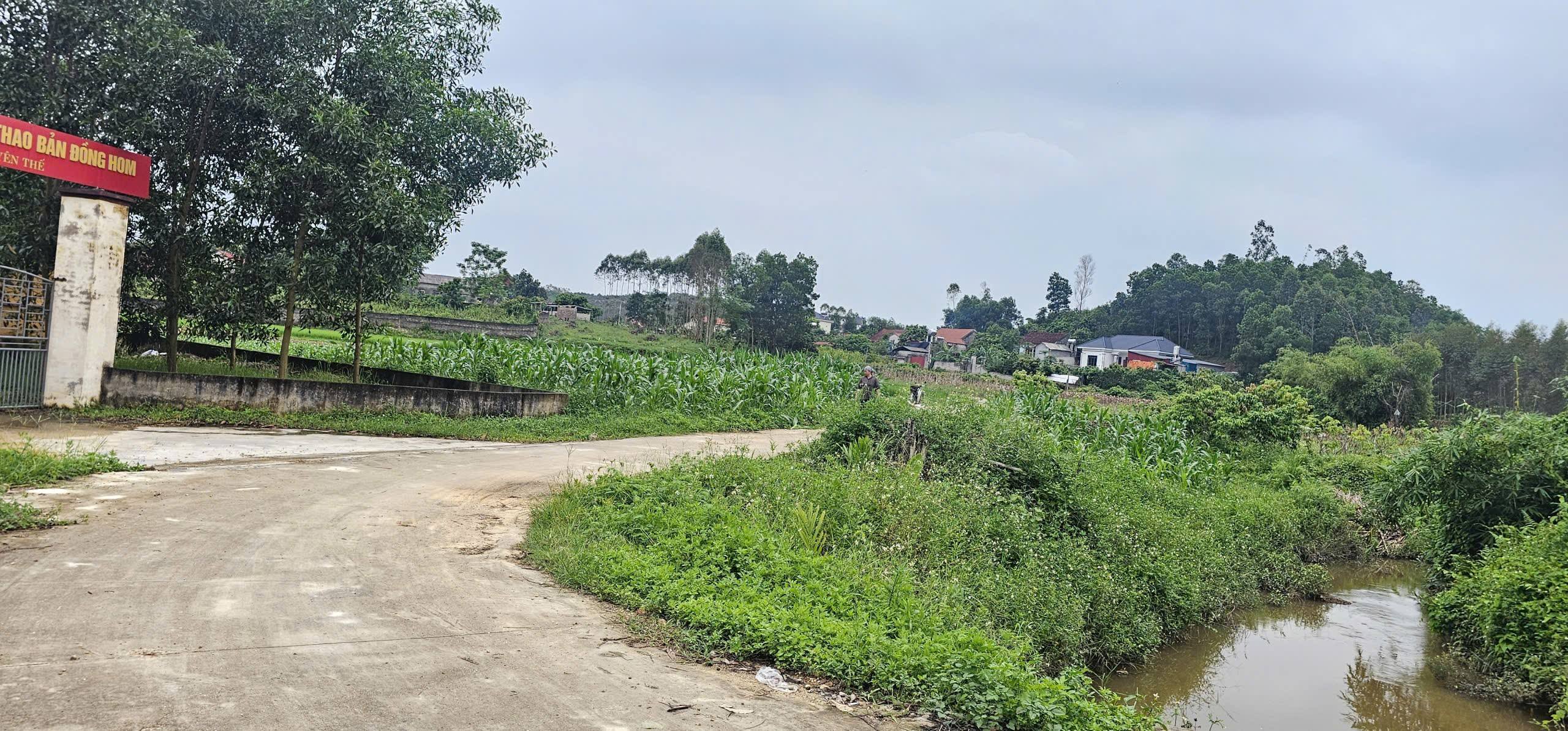 Vườn Yên Thế - 3000m2 bám suối, view đồng thoáng đãng