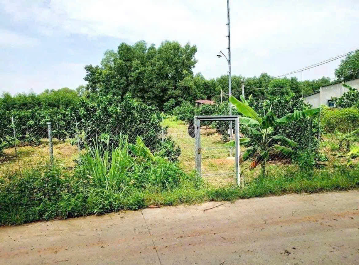 Đất vườn Quy Nhơn mặt tiền 16m, sổ hồng riêng, giá chỉ 530 triệu