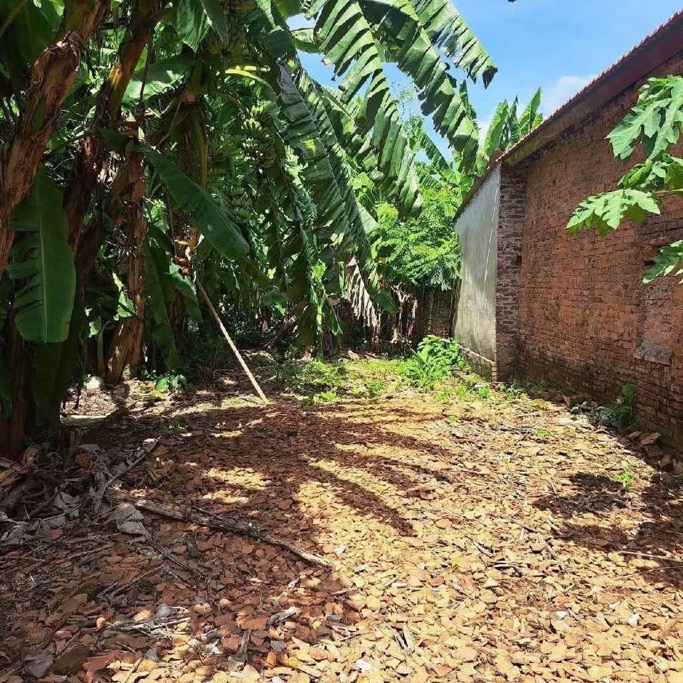 Đón sóng Vành Đai 4 Bắc Ninh - Đất nền Thuận Thành, đầu tư sớm, lời to