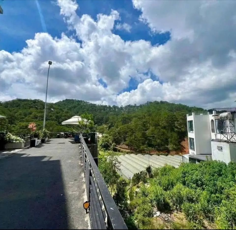 Đất biệt thự view rừng thông đẹp tại đường Hoàng Hoa Thám, Đà Lạt - Giá 8.3 tỷ