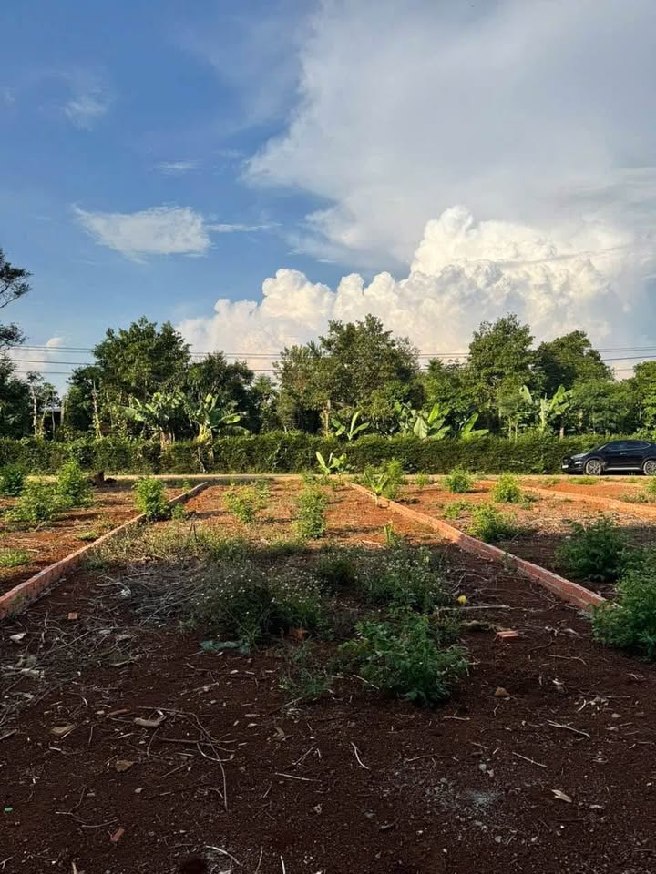 Đất hẻm cấp 1 Cưr Đăng, 5x22.6m, 550 triệu