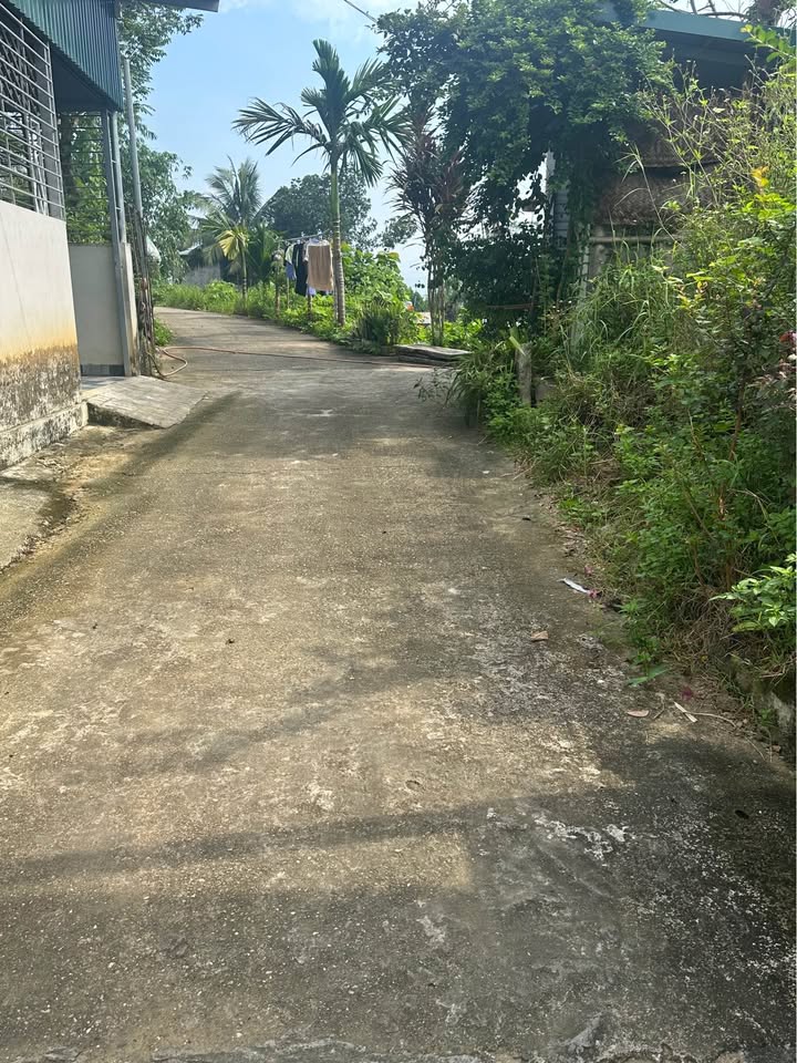 Đất An Tường, Tuyên Quang 4.3x31m, Thổ cư 50m2 - Giá 760 triệu