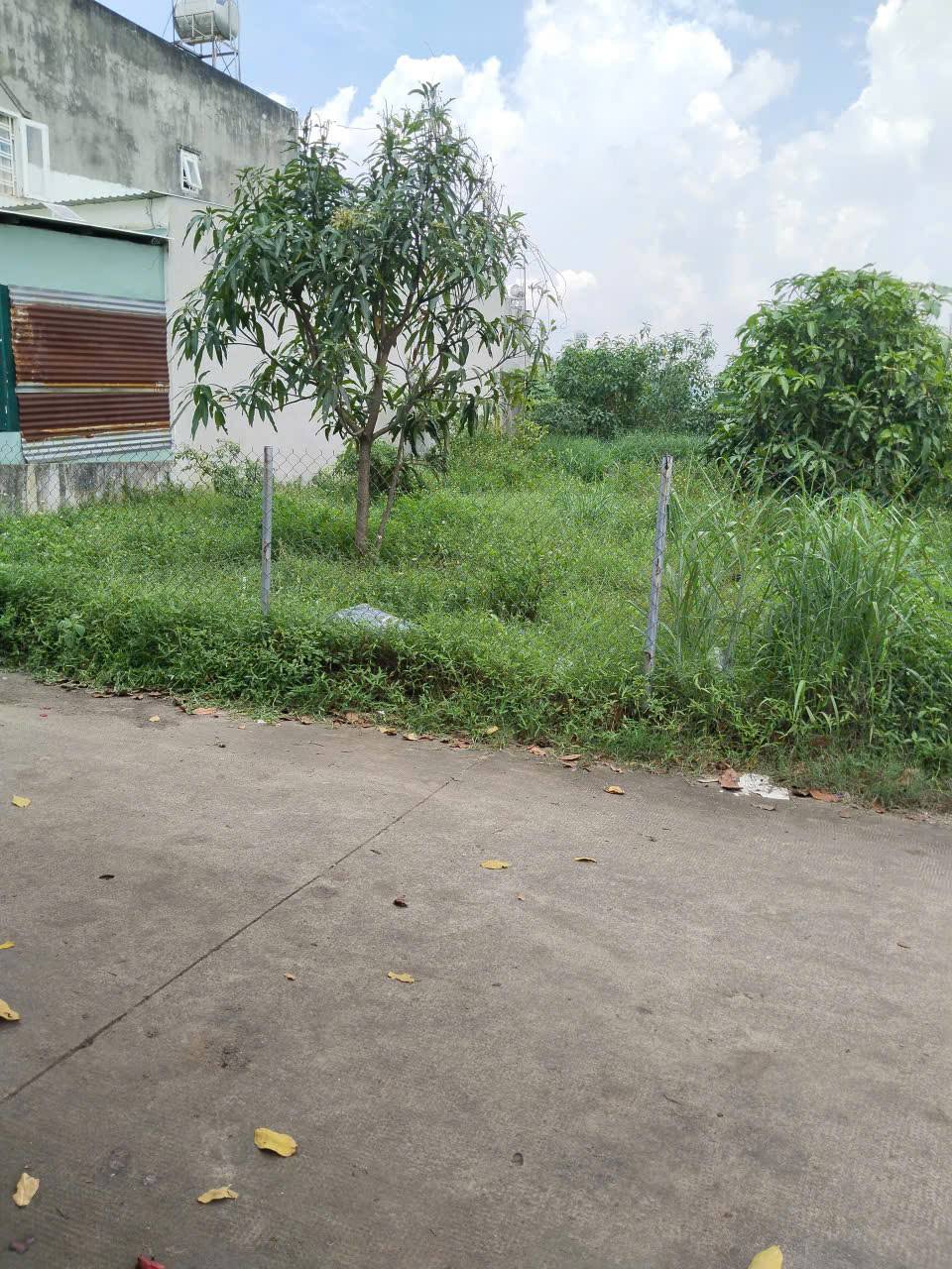 Đất vàng Phước Thiền 200m² sổ riêng gần ngã tư Ông Hảo, Nhơn Trạch