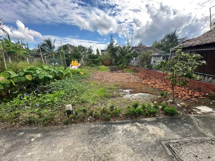 Đất Hữu Định siêu hot, hẻm xe hơi, giá chỉ 800 triệu