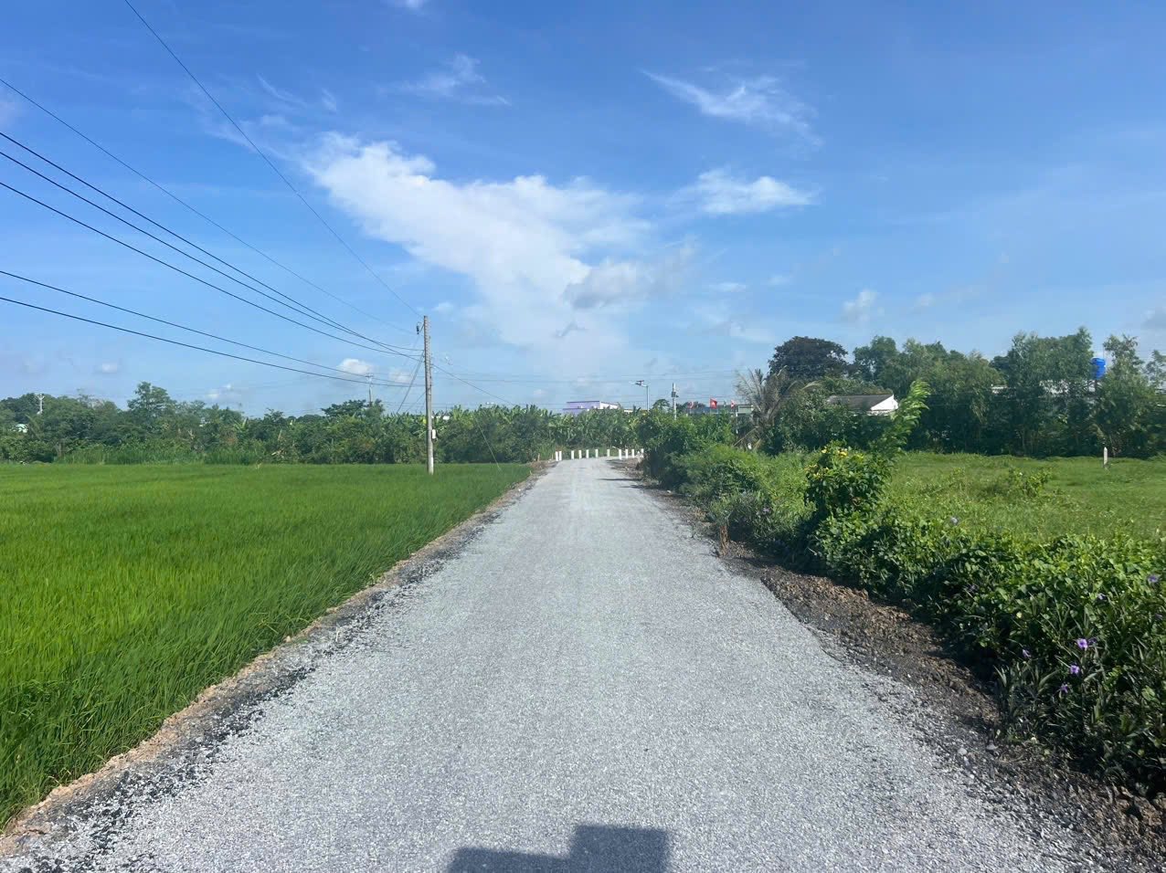 Đất nền Gò Công Đông giá chỉ 390 triệu, đầu tư sinh lời ngay