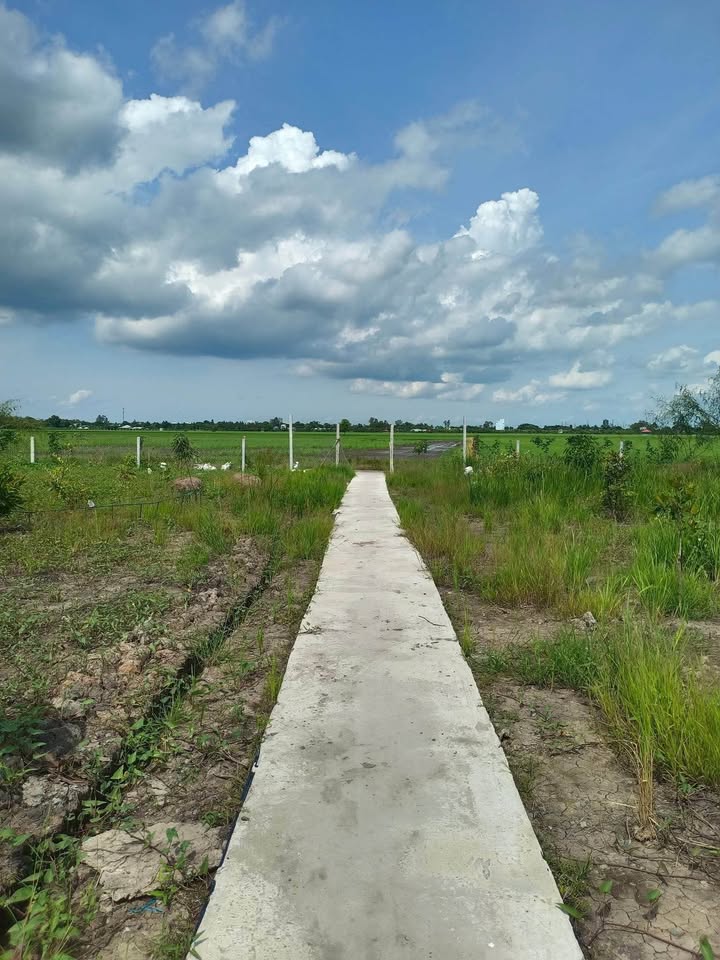 Bán đất vườn diện tích 10.2m x 100m tại Châu Đốc, An Giang