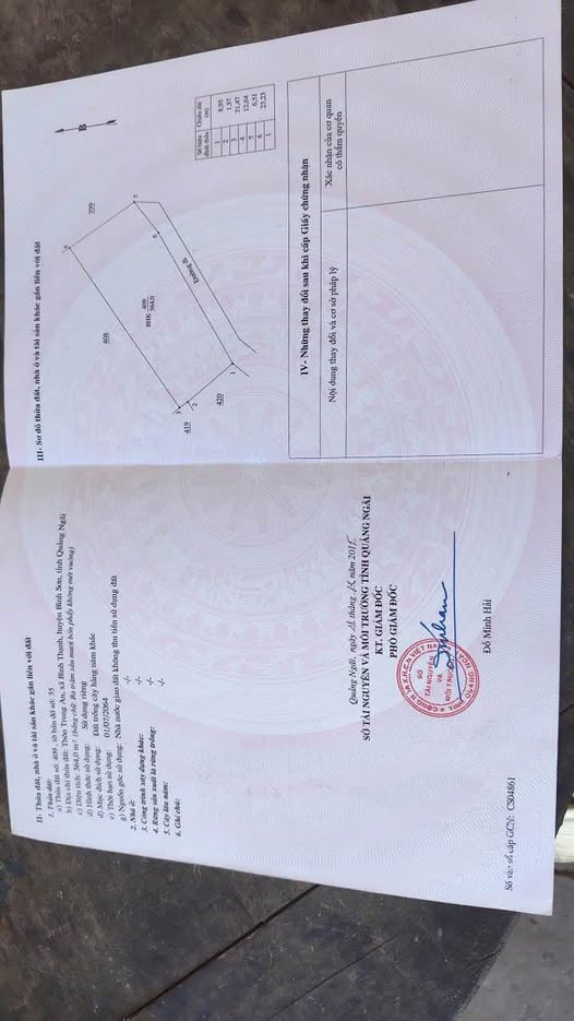 Bán đất trồng cây cách biển 1km tại Bình Thạnh, Bình Sơn, Quảng Ngãi