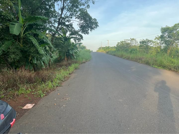 Đất cao su non Đồng Xoài - Đầu tư nhỏ, tương lai nở