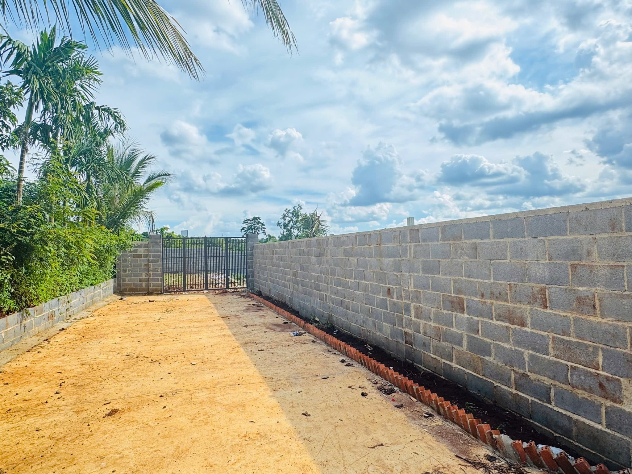 Đất nhà vườn siêu chill, cách trung tâm Buôn Ma Thuột 3km - Giá chỉ 1.45 tỷ