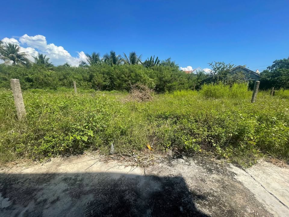 Đất Ninh Hòa giá bèo nhèo 250m2, nở hậu, ô tô tới đất, chỉ 779 triệu