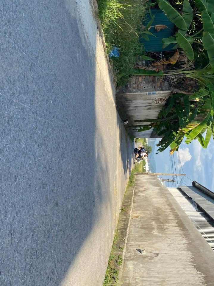 Đất vàng Láng Kim an yên giữa lòng Tam Dương, chỉ nhỉnh 1 tỷ