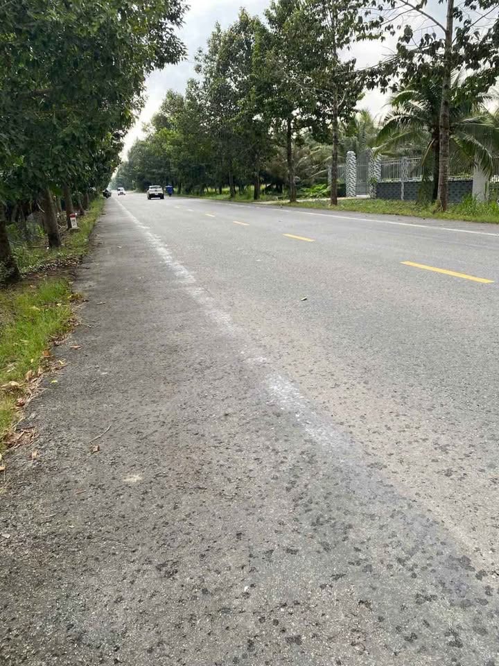 Đất vàng Giồng Trôm, Bến Tre 854m2, mặt tiền 11m, giá chỉ 2.5 tỷ