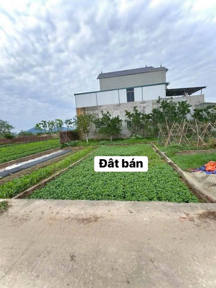 Đất Sóc Sơn full thổ cư, giá yêu thương -Chốt đơn lẹ làng