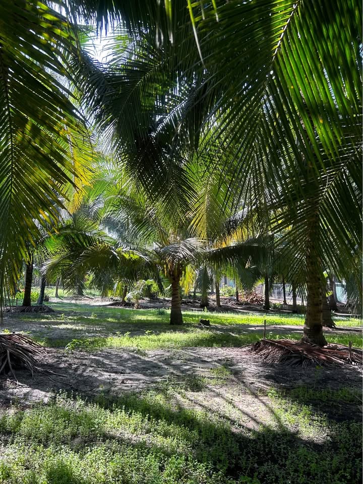 Đất Mũi Né view đẹp giá siêu tốt - chốt kèo liền tay