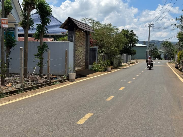 Đất mặt tiền đường nhựa Liên Nghĩa - Đầu tư sinh lời ngay