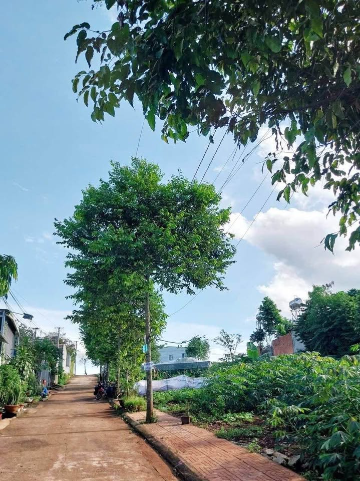 Đất thổ cư Buôn Ma Thuột - Hạ giá sập sàn, chốt nhanh kẻo lỡ