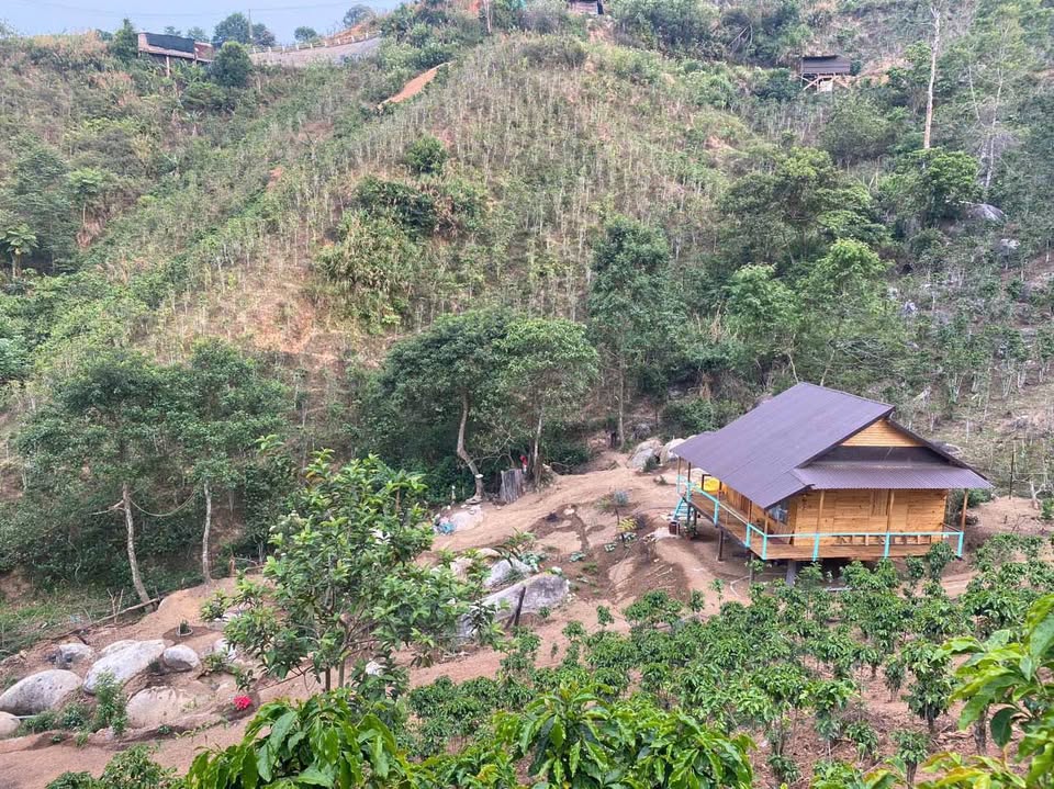 Đất rộng 3800m2 có nhà gỗ, giá mềm như mơ tại Lạc Dương