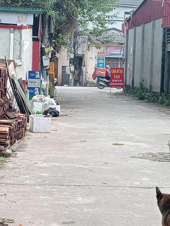 Mảnh đất vuông vắn 85m2 tại Sơn Tây, Hà Nội - Nơi an cư lý tưởng