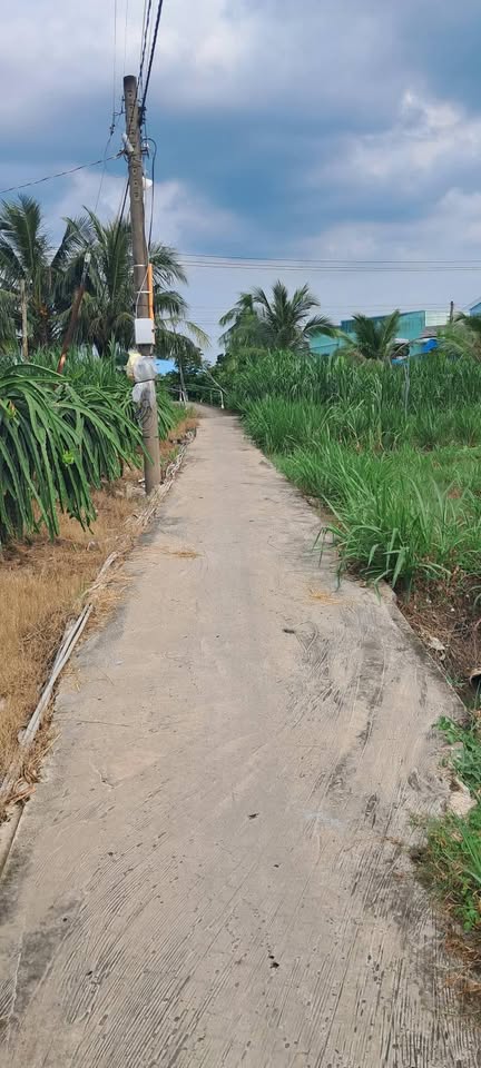 Mảnh đất vàng 6x69m tại Ấp Tân Bình, Tiền Giang - Cơ hội đầu tư sinh lời