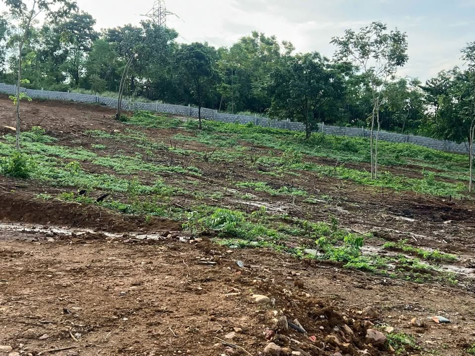 Đất thổ cư Yên Bình - Gần khu công nghệ cao, đầu tư sinh lời