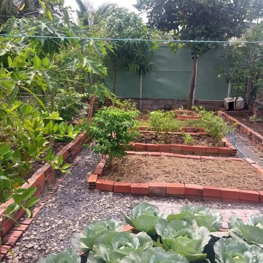 Bán nền thổ cư 99.7m² tại phường Thanh Đức, Vĩnh Long - Lộ ô tô