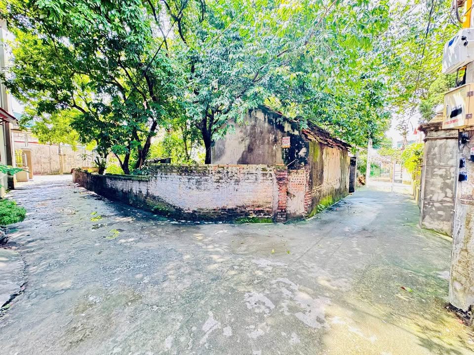 Sở hữu đất nền 50m2 ngay KCN Minh Quang, Mỹ Hào chỉ với vài trăm triệu