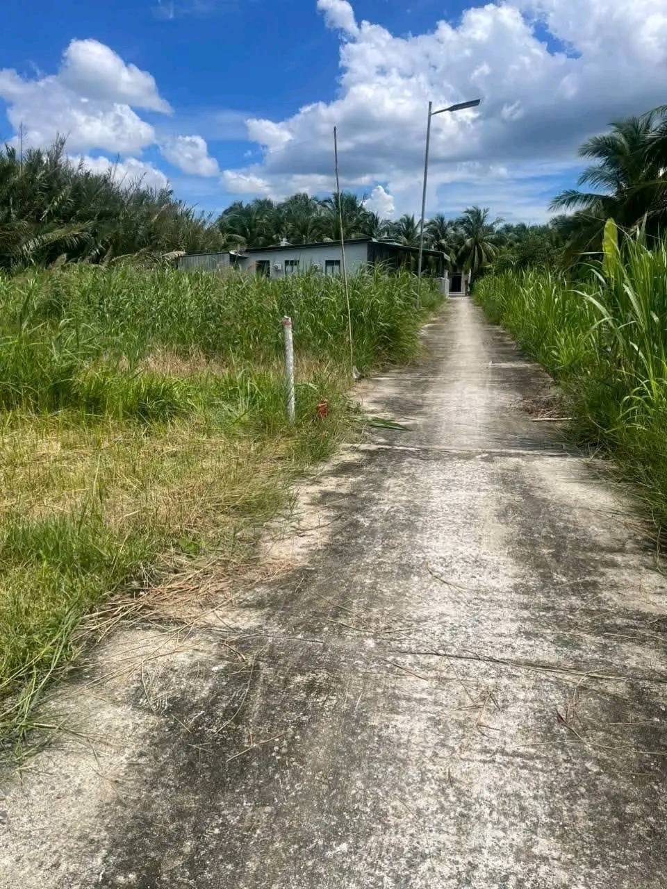 Bán nhanh đất vàng Bến Tre - 330m2, sẵn nền đẹp, gần chợ