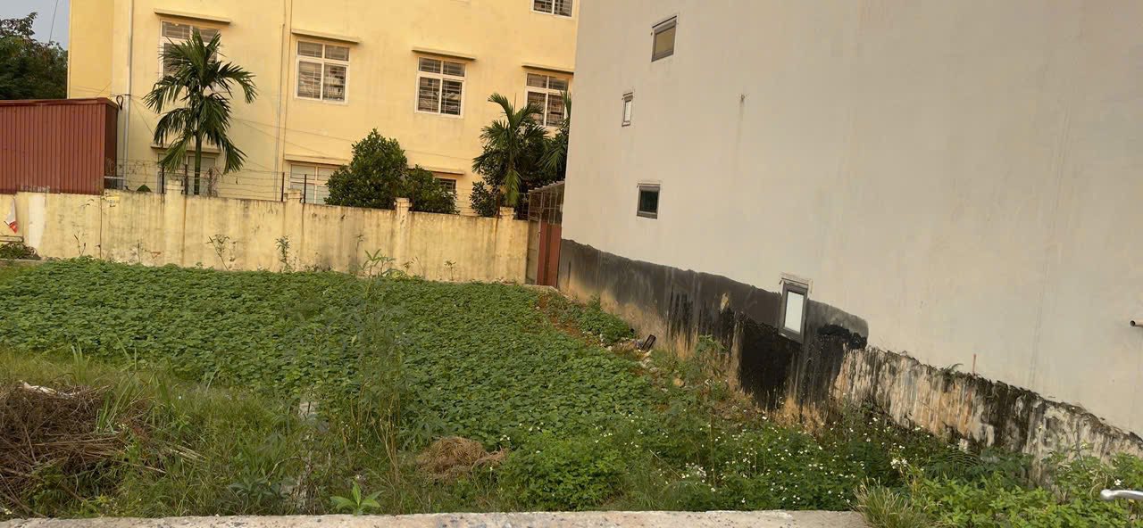 Đất đấu giá 88.5m2 mặt tiền 5.5m tại Phù Lưu Tế, Mỹ Đức, Hà Nội