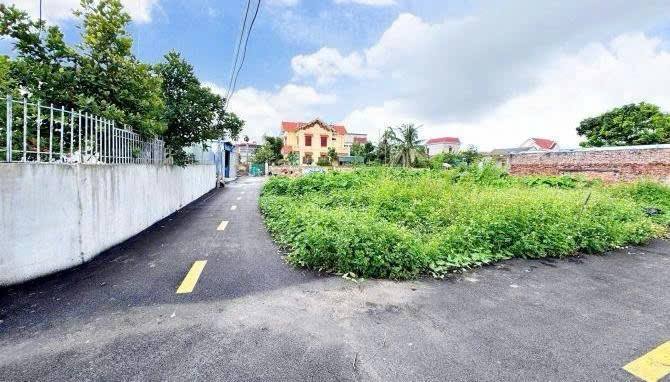 Lô đất vàng tại Kiến Thụy - Vị trí đẹp, giá siêu mềm