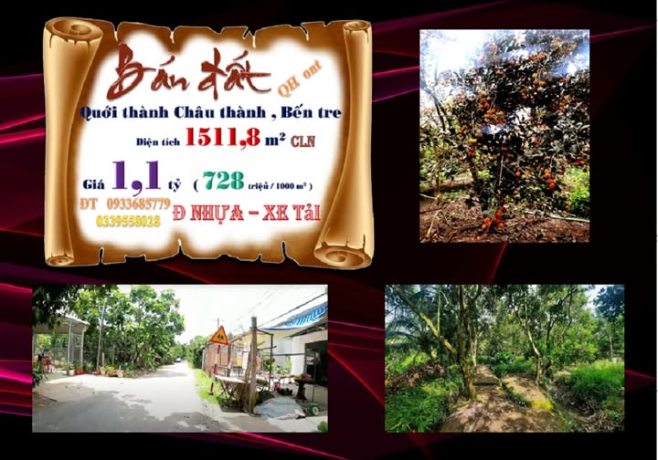 Đất CLN Quới Thành - Mặt tiền lộ nhựa, giá chỉ 1.1 tỷ