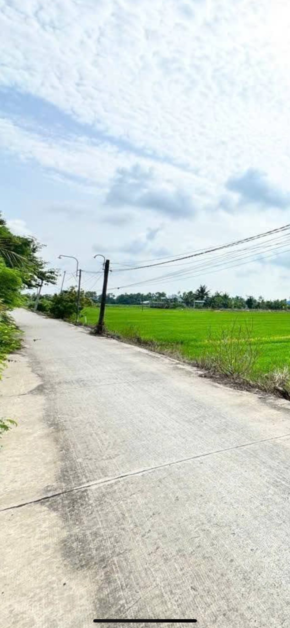 Đất lúa Phước Đông siêu hot, chuyển thổ cư ngay