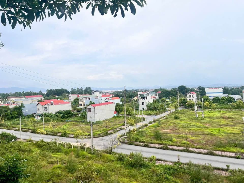 Bán đất phân lô 100m² hướng Đông, view vườn hoa tại Bình Xuyên, Vĩnh Phúc