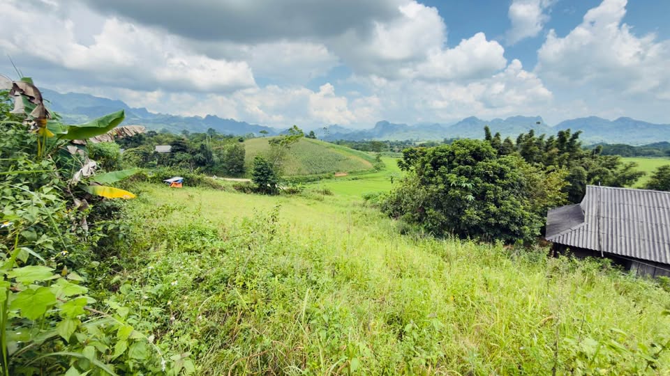 Bán đất nghỉ dưỡng 3000m² view đồi núi tuyệt đẹp tại Hòa Bình