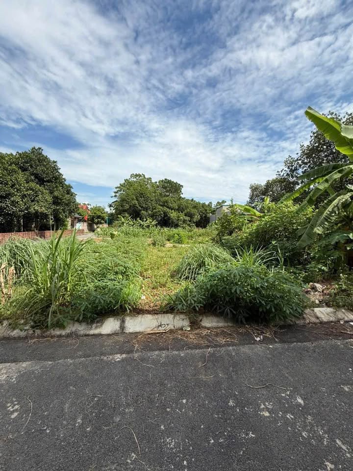 Siêu phẩm đất nền 69,9m² full thổ cư tại Tân Xã - Hạ Bằng đã sẵn sàng