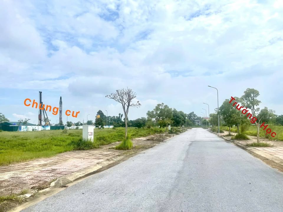 Bán đất 125m2 KĐT Nam Vĩnh Yên, mặt đường 16.5m, vị trí kinh doanh tốt