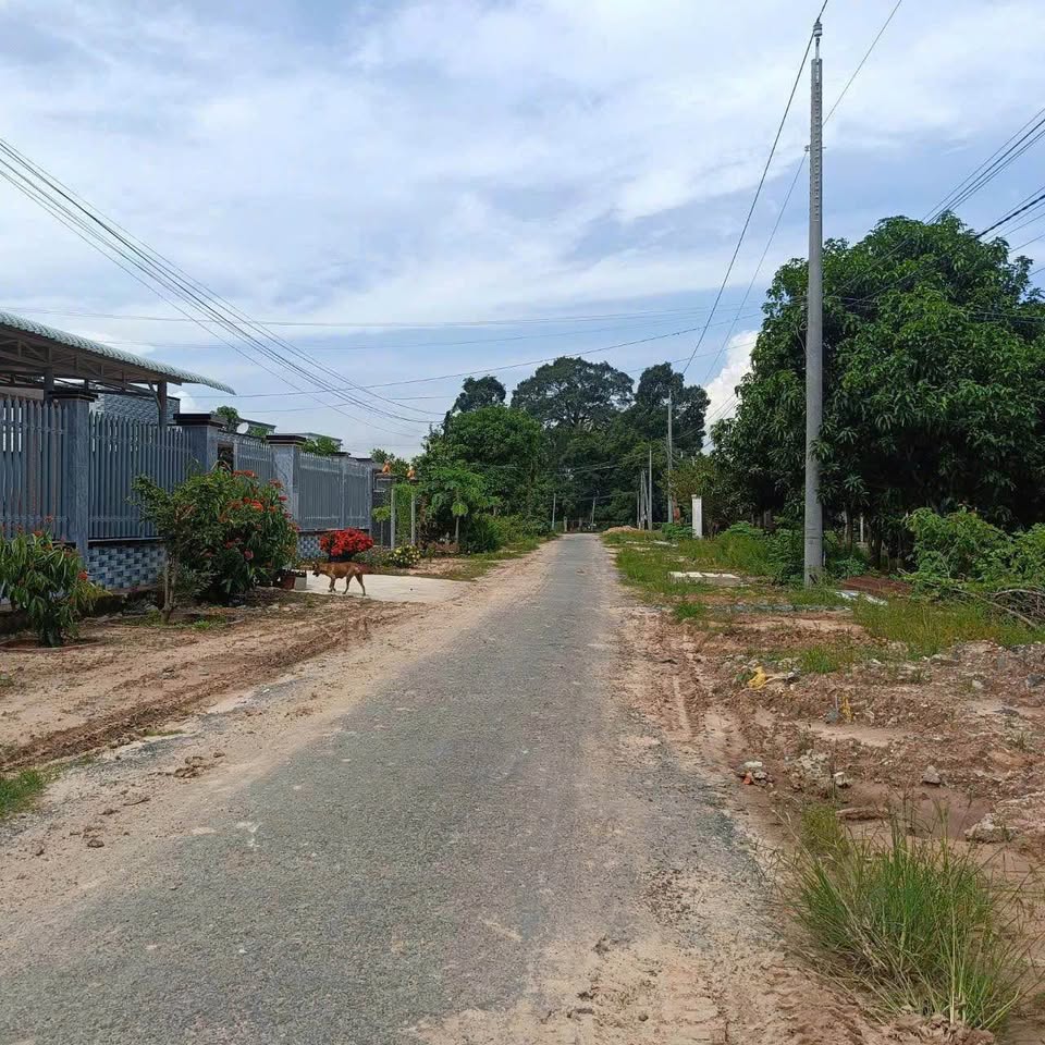 Đất thổ cư Tây Ninh giá siêu yêu, chốt đơn lẹ làng