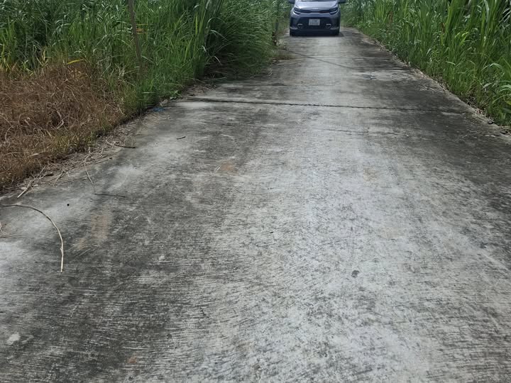 Đất thổ cư ven sông giá siêu hời tại Bến Tre - Đầu tư là lời