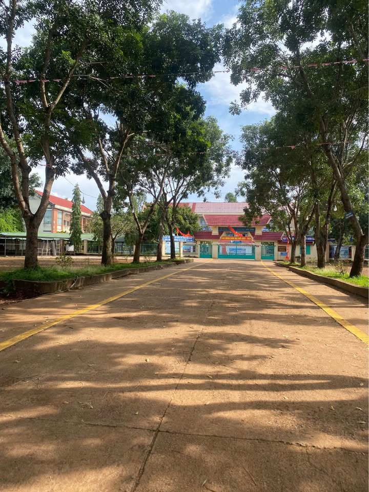 Đất vàng đầu tư, lốc 4 lô liền kề trường cấp 2 Hoà Phú - Giá Chỉ 5xx triệu