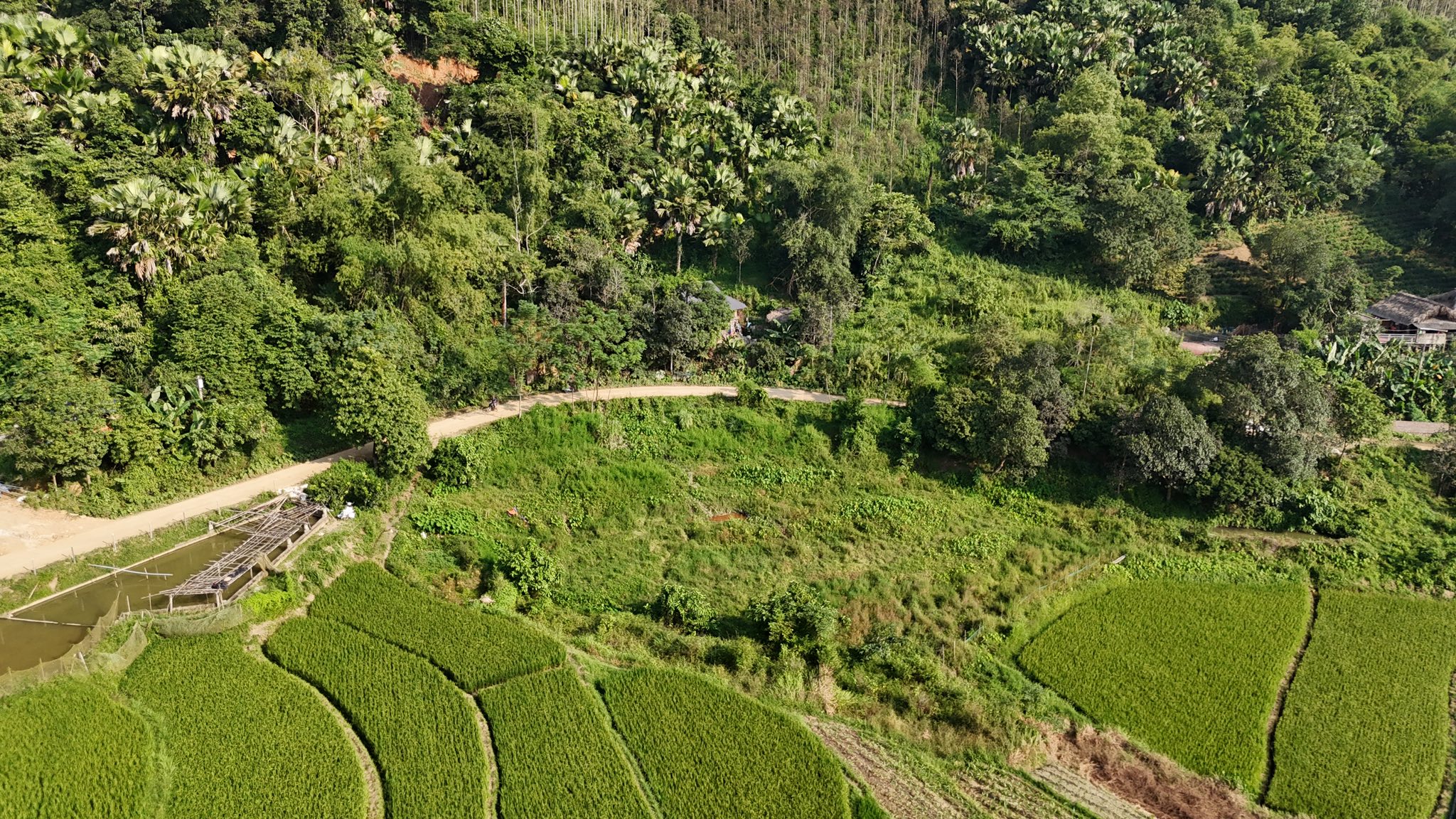 Bán đất 2500m2 tại Thái Nguyên, sẵn sàng xây nhà vườn, phòng trọ