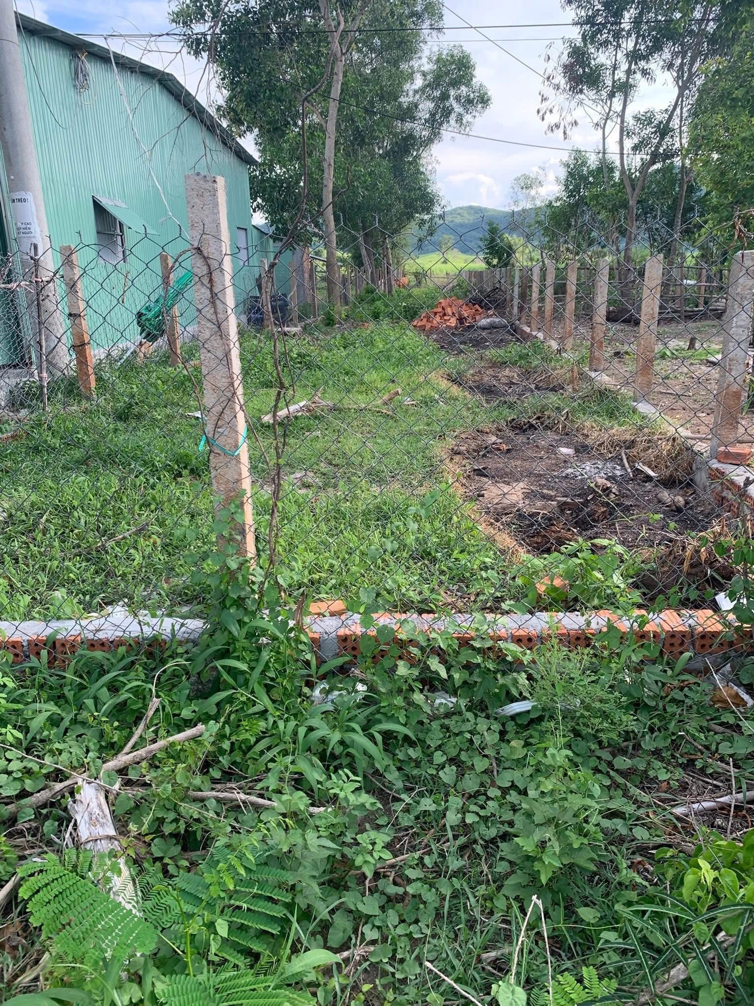 Bán gấp 2 lô đất vàng quốc lộ 25, sổ riêng từng lô, tiềm năng sinh lời khủng