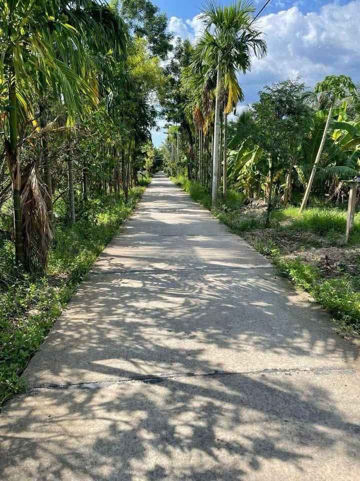 Miếng đất xanh mát ven sông, nơi an yên giữa lòng Bến Tre