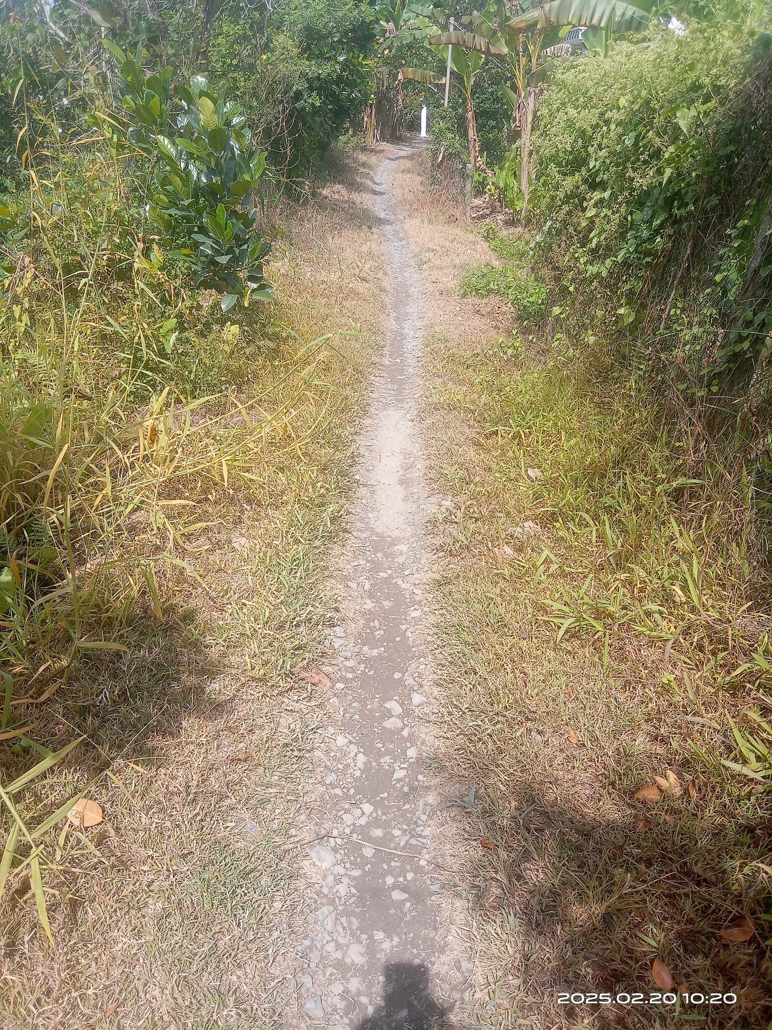 Vườn an yên bên sông, Đồng Tháp - Ươm mầm hạnh phúc