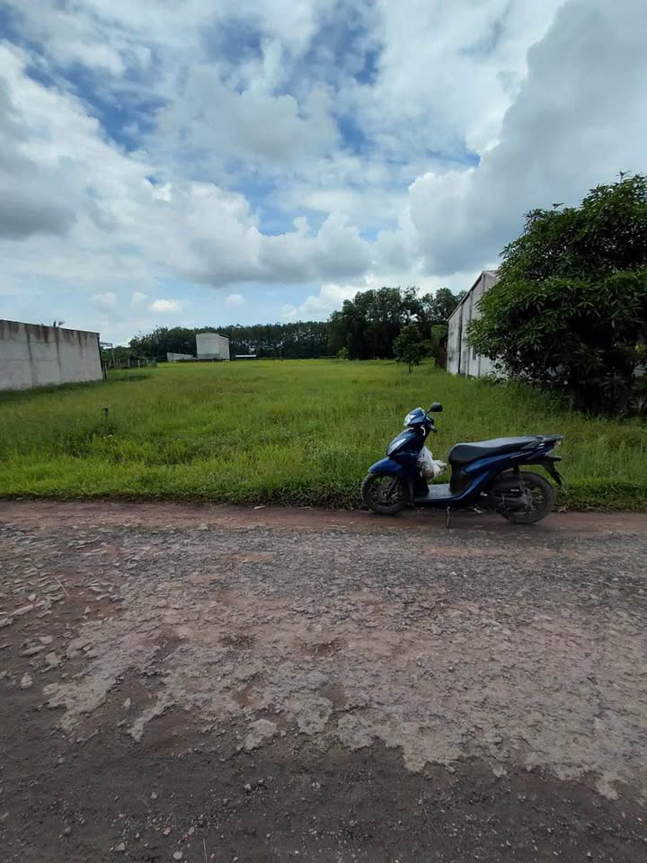 Bán gấp đất mặt tiền nhựa Lộc An, An Tịnh, Gò Dầu, Tây Ninh - 7.6x63m, nở hậu 17m