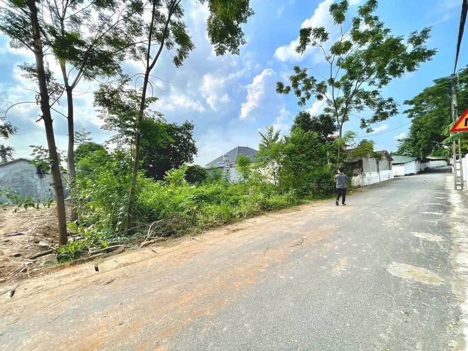 Đất vàng Yên Lạc 100m2, đường ô tô tránh, giá chỉ 1.1 tỷ