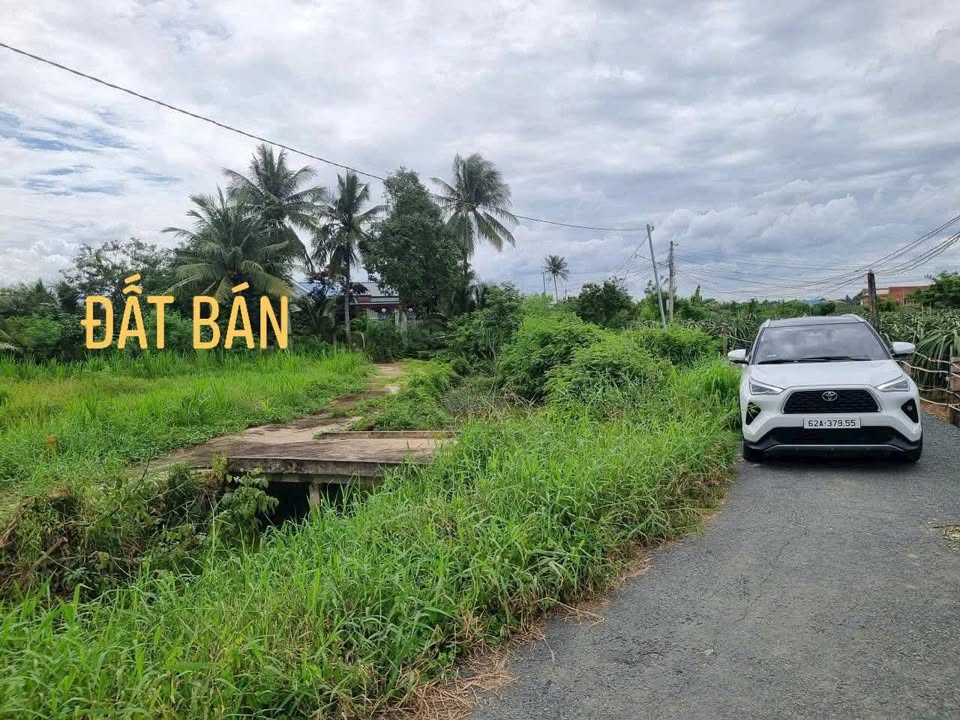 Bán đất sổ đỏ Tây Ninh, giá rẻ nhất khu vực, view kênh mát mẻ